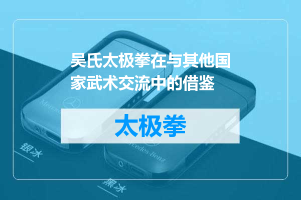 吴氏太极拳在与其他国家武术交流中的借鉴