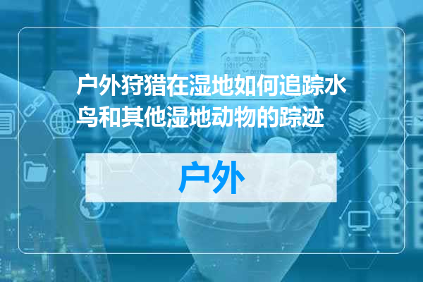 户外狩猎在湿地如何追踪水鸟和其他湿地动物的踪迹