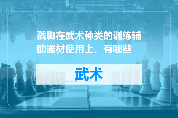 戳脚在武术种类的训练辅助器材使用上，有哪些