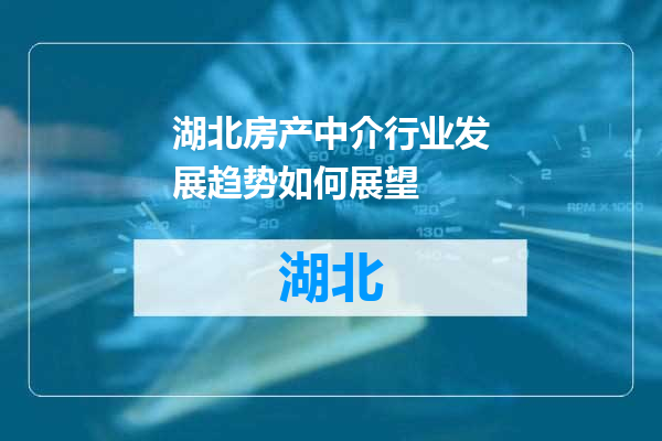 湖北房产中介行业发展趋势如何展望