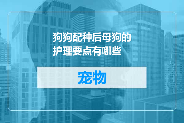 狗狗配种后母狗的护理要点有哪些