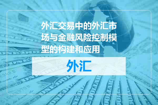 外汇交易中的外汇市场与金融风险控制模型的构建和应用