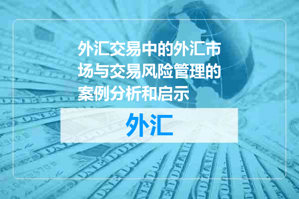 外汇交易中的外汇市场与交易风险管理的案例分析和启示