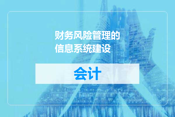 财务风险管理的信息系统建设
