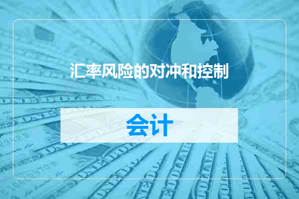 汇率风险的对冲和控制