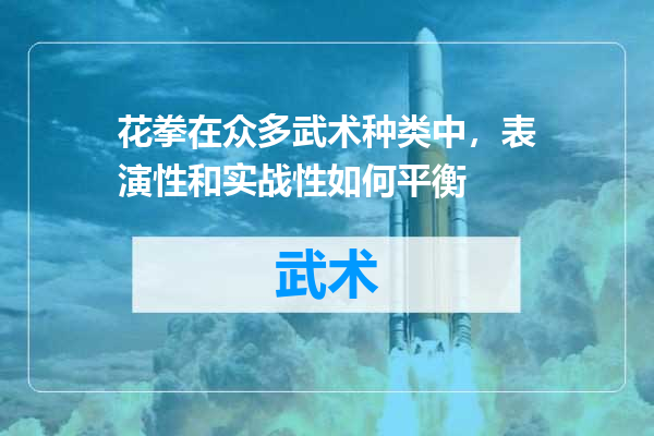 花拳在众多武术种类中，表演性和实战性如何平衡