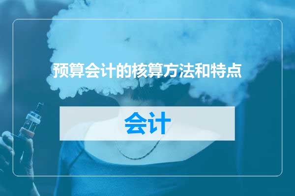 预算会计的核算方法和特点
