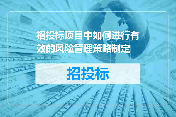 招投标项目中如何进行有效的风险管理策略制定