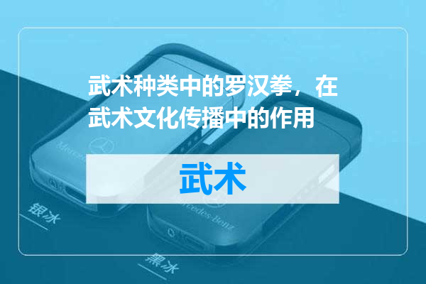 武术种类中的罗汉拳，在武术文化传播中的作用