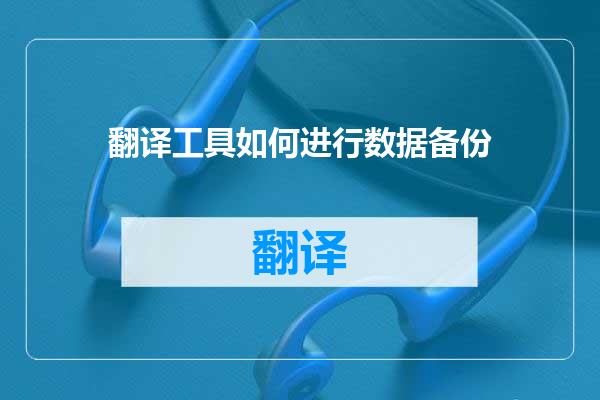 翻译工具如何进行数据备份