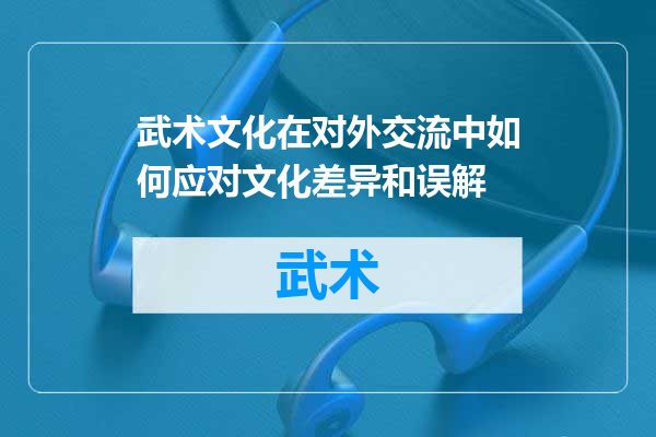 武术文化在对外交流中如何应对文化差异和误解
