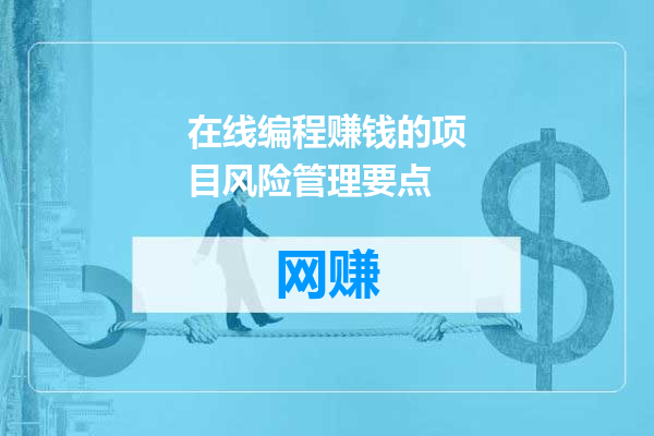 在线编程赚钱的项目风险管理要点