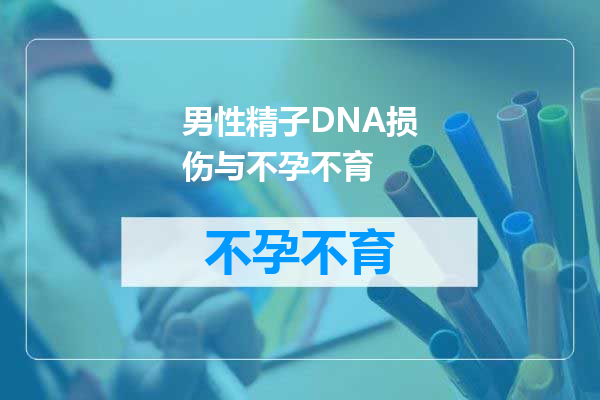 男性精子DNA损伤与不孕不育
