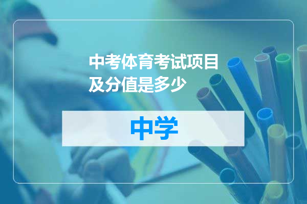 中考体育考试项目及分值是多少