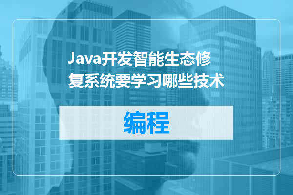 Java开发智能生态修复系统要学习哪些技术