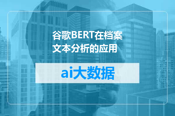 谷歌BERT在档案文本分析的应用