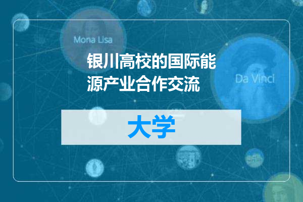 银川高校的国际能源产业合作交流