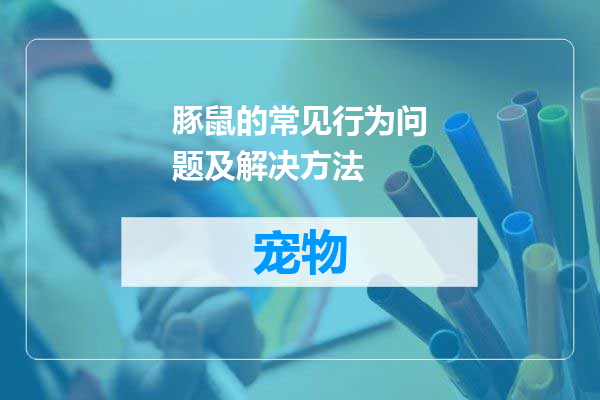 豚鼠的常见行为问题及解决方法