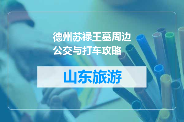 德州苏禄王墓周边公交与打车攻略