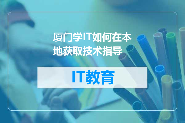 厦门学IT如何在本地获取技术指导
