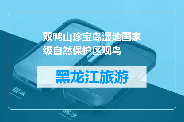 双鸭山珍宝岛湿地国家级自然保护区观鸟