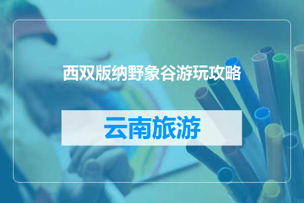 西双版纳野象谷游玩攻略