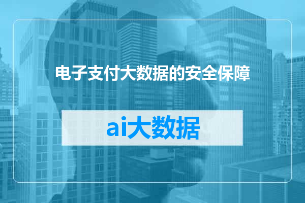 电子支付大数据的安全保障