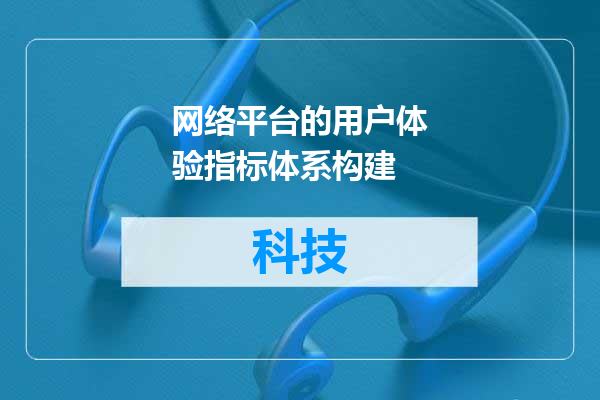 网络平台的用户体验指标体系构建