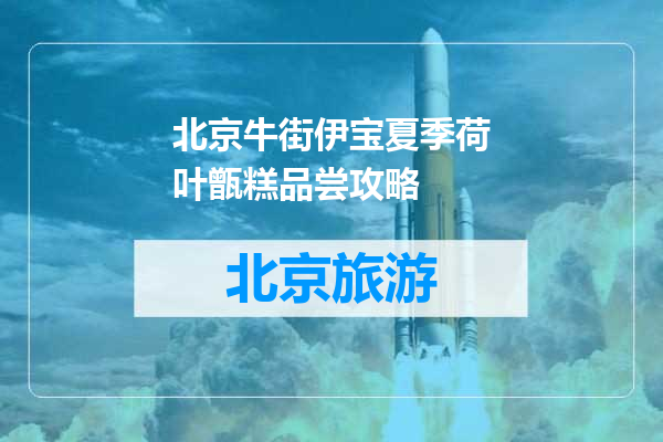 北京牛街伊宝夏季荷叶甑糕品尝攻略