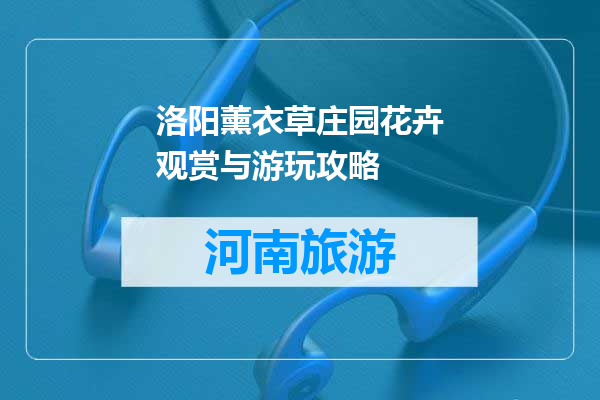 洛阳薰衣草庄园花卉观赏与游玩攻略