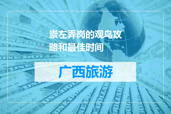 崇左弄岗的观鸟攻略和最佳时间