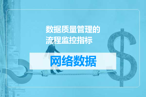 数据质量管理的流程监控指标