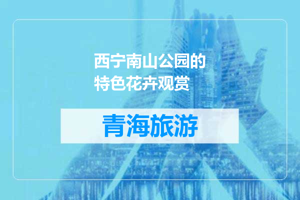 西宁南山公园的特色花卉观赏