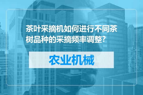 茶叶采摘机如何进行不同茶树品种的采摘频率调整？