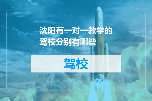 沈阳有一对一教学的驾校分别有哪些