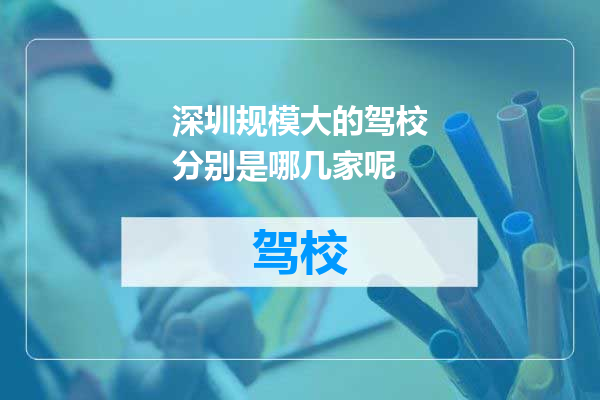 深圳规模大的驾校分别是哪几家呢