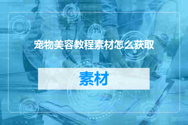 宠物美容教程素材怎么获取