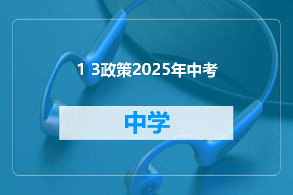 1 3政策2025年中考
