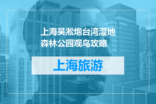 上海吴淞炮台湾湿地森林公园观鸟攻略