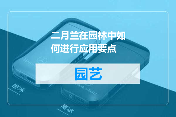 二月兰在园林中如何进行应用要点