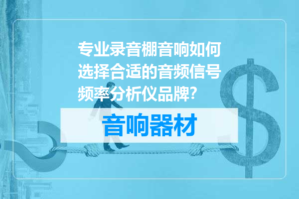 专业录音棚音响如何选择合适的音频信号频率分析仪品牌？