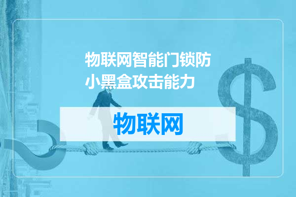 物联网智能门锁防小黑盒攻击能力