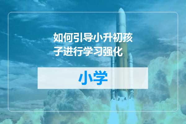 如何引导小升初孩子进行学习强化