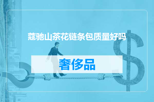 蔻驰山茶花链条包质量好吗