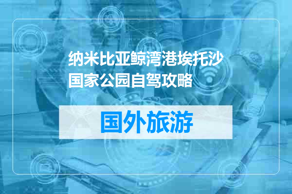 纳米比亚鲸湾港埃托沙国家公园自驾攻略
