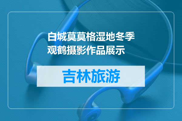 白城莫莫格湿地冬季观鹤摄影作品展示