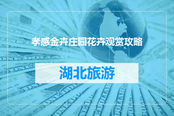 孝感金卉庄园花卉观赏攻略