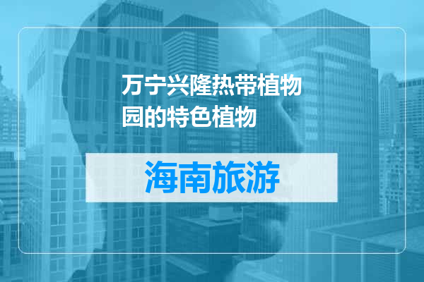 万宁兴隆热带植物园的特色植物