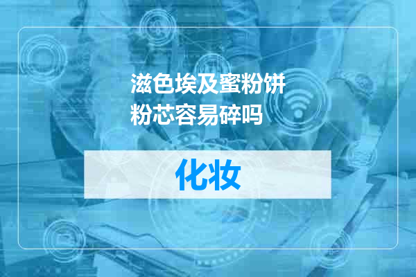 滋色埃及蜜粉饼粉芯容易碎吗