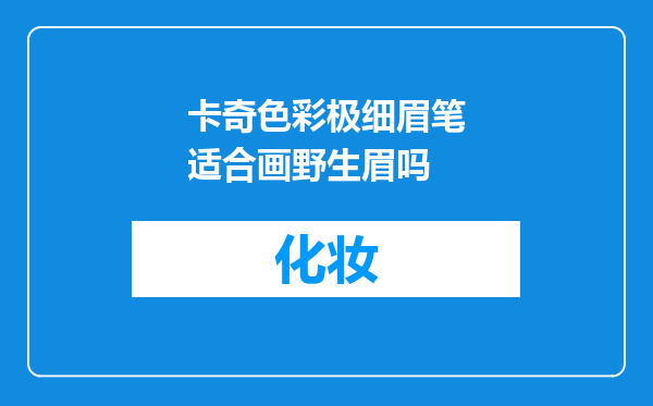 卡奇色彩极细眉笔适合画野生眉吗